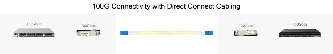 100G Connectivity with Direct Connect Cabling